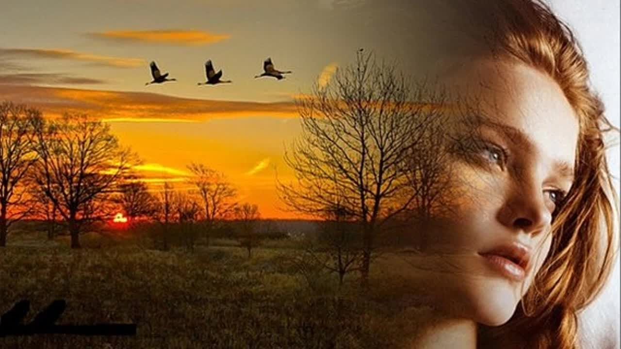 Я не виновен…