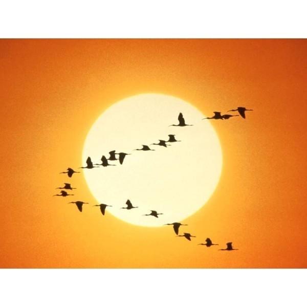 Прости, Россия!