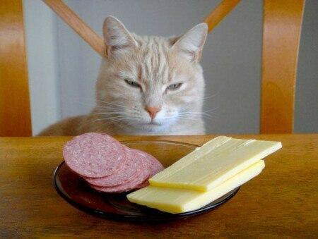 "Ну, Мурло, теперь держись!"   (читает  автор)   из  старого   альбома