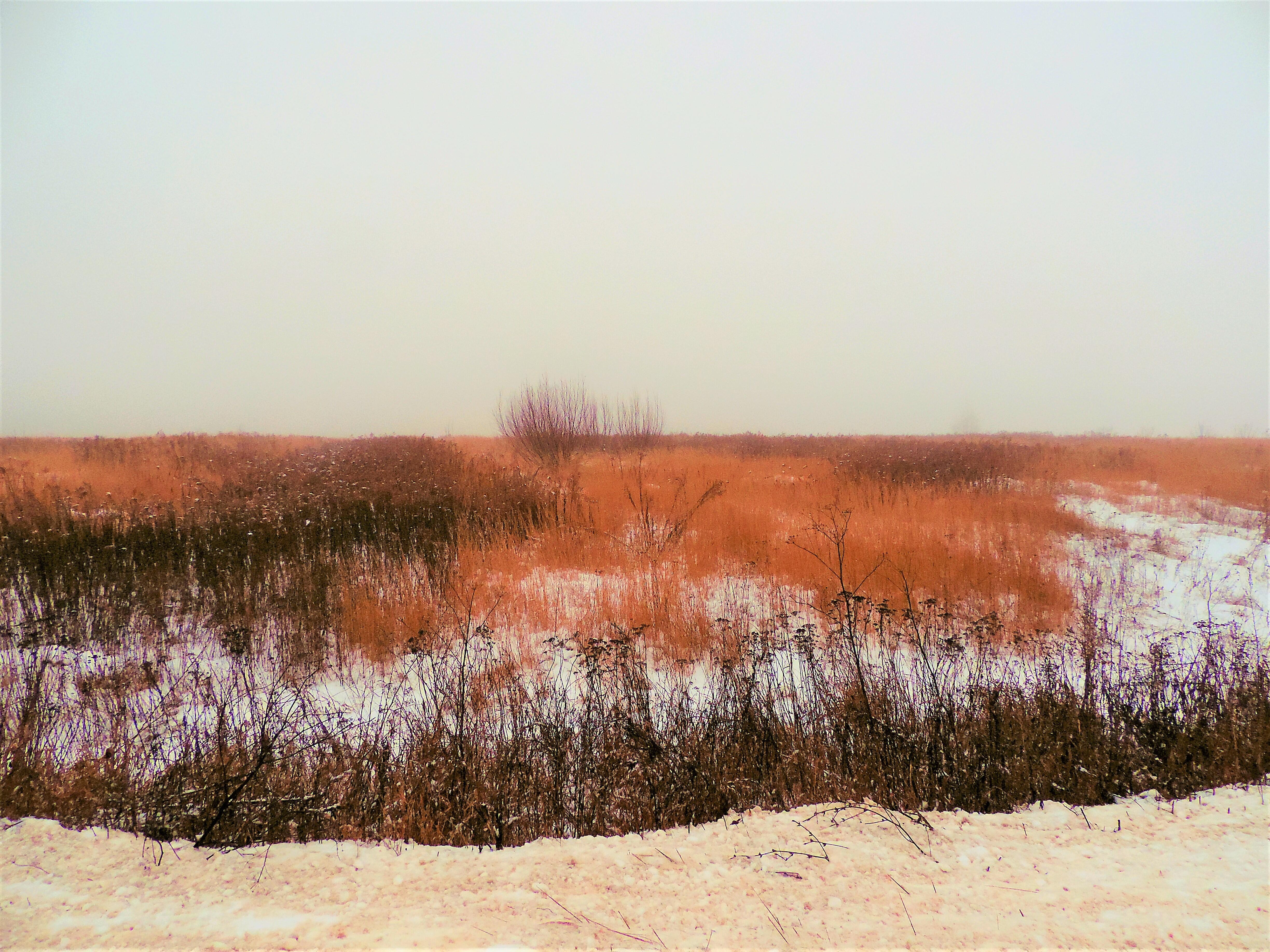 С годами сузилась дорога,