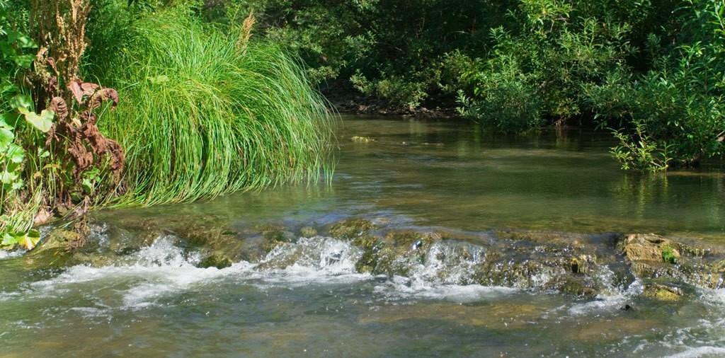 Речка жизни.