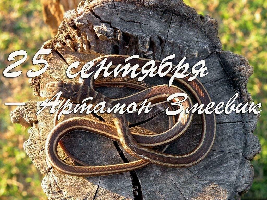 25 сентября - Артамон Змеевик