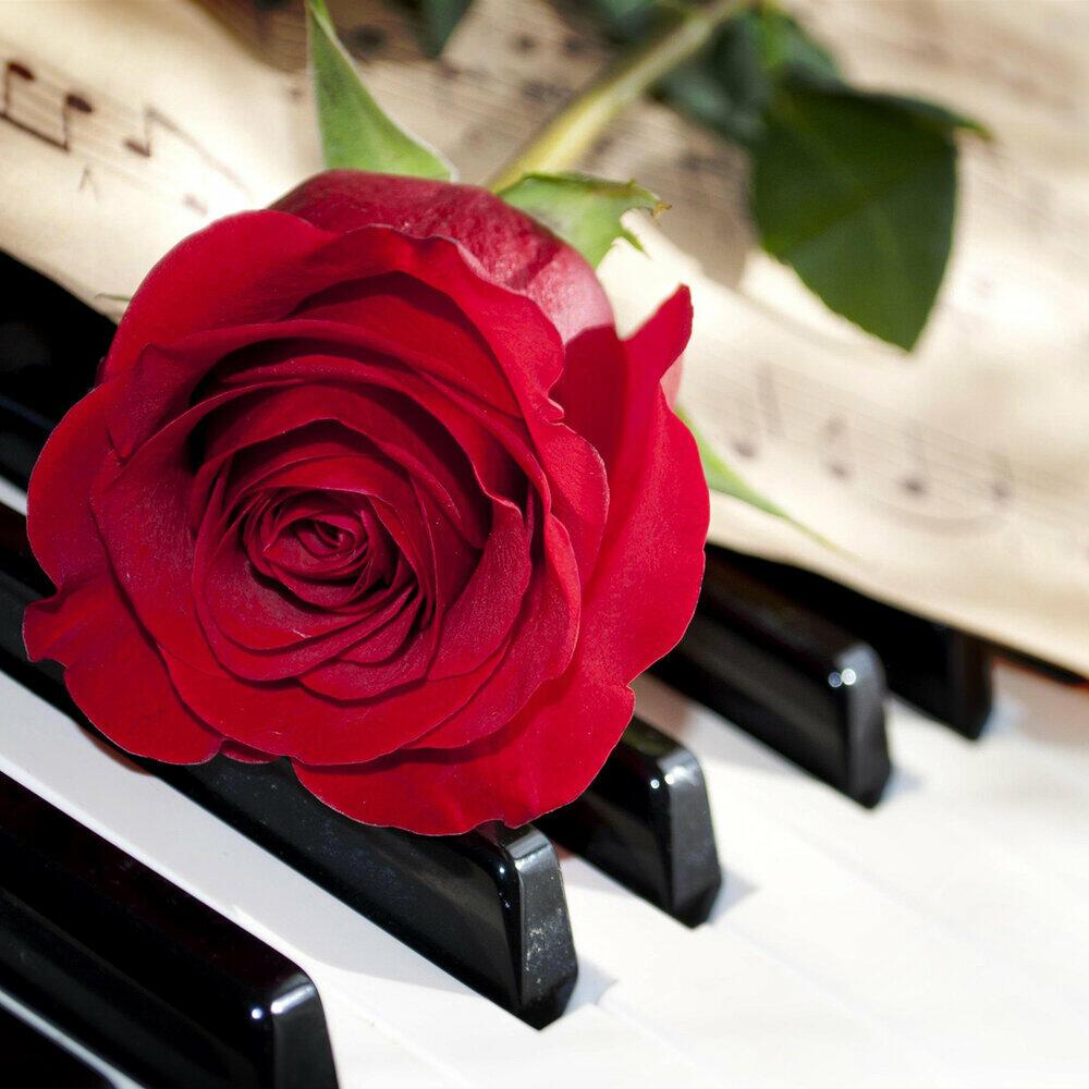 Улетаешь - улетай