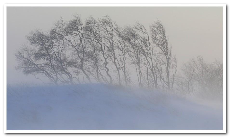 Вьюга воет...