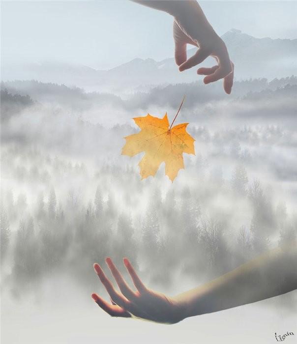 Сховай мене від світу