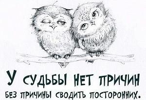 У судьбы много разных причин