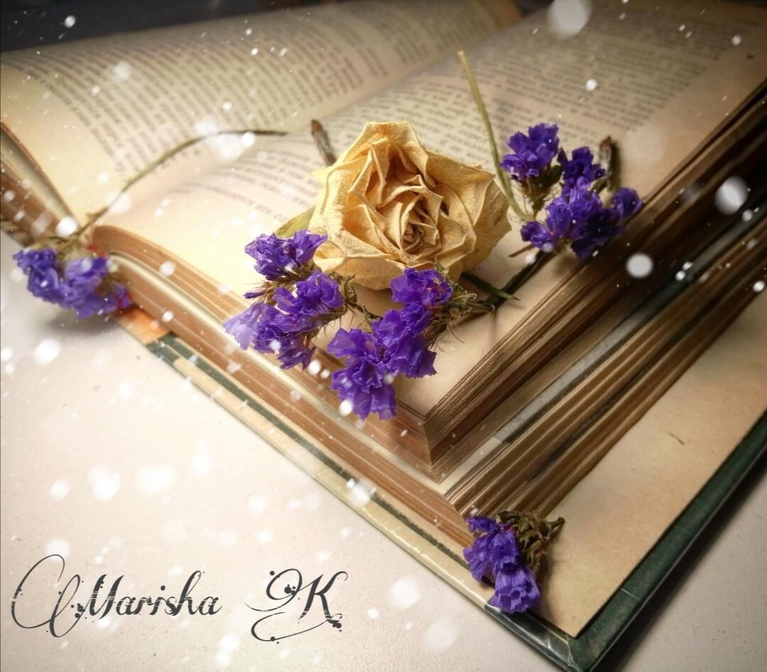 Другая жизнь 2. 2. 16