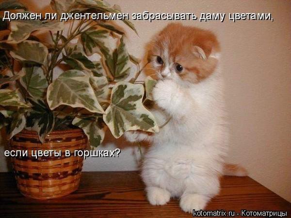 Ты прекрасна!