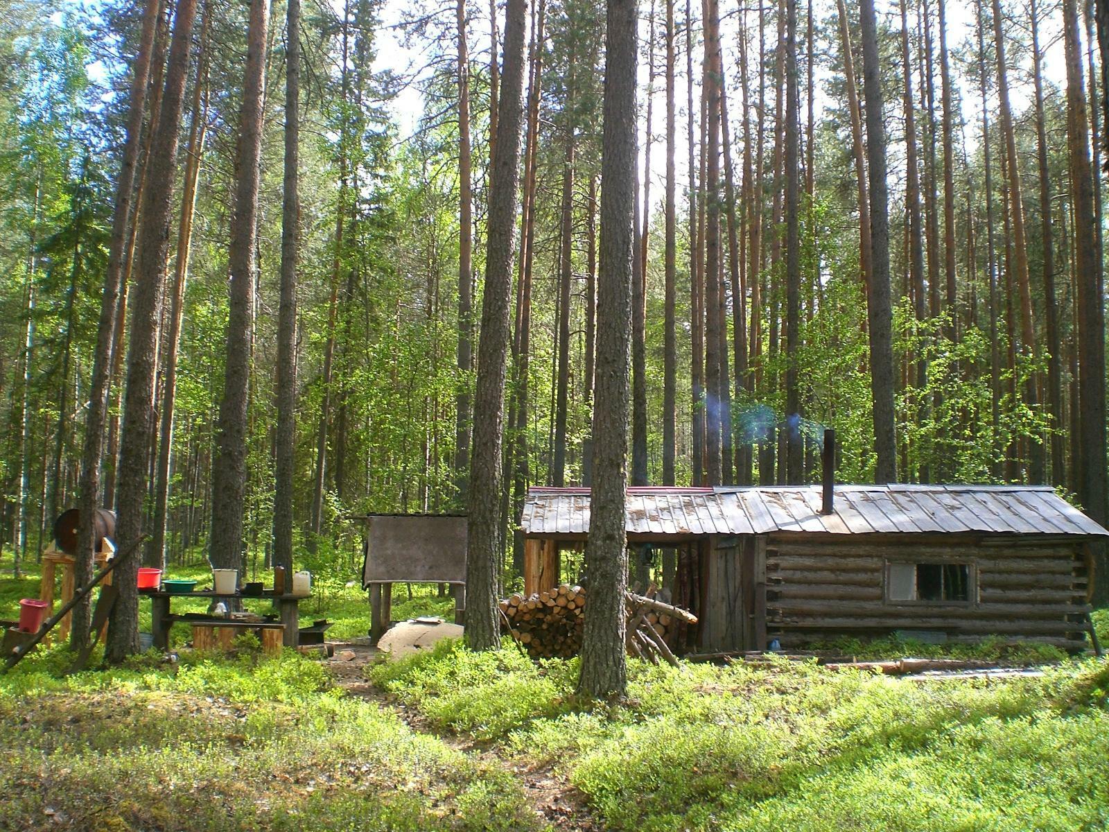 Построю дом в лесу читает Кулаев Владимир