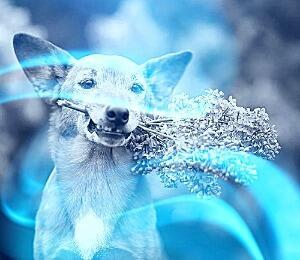 Выключаю мир