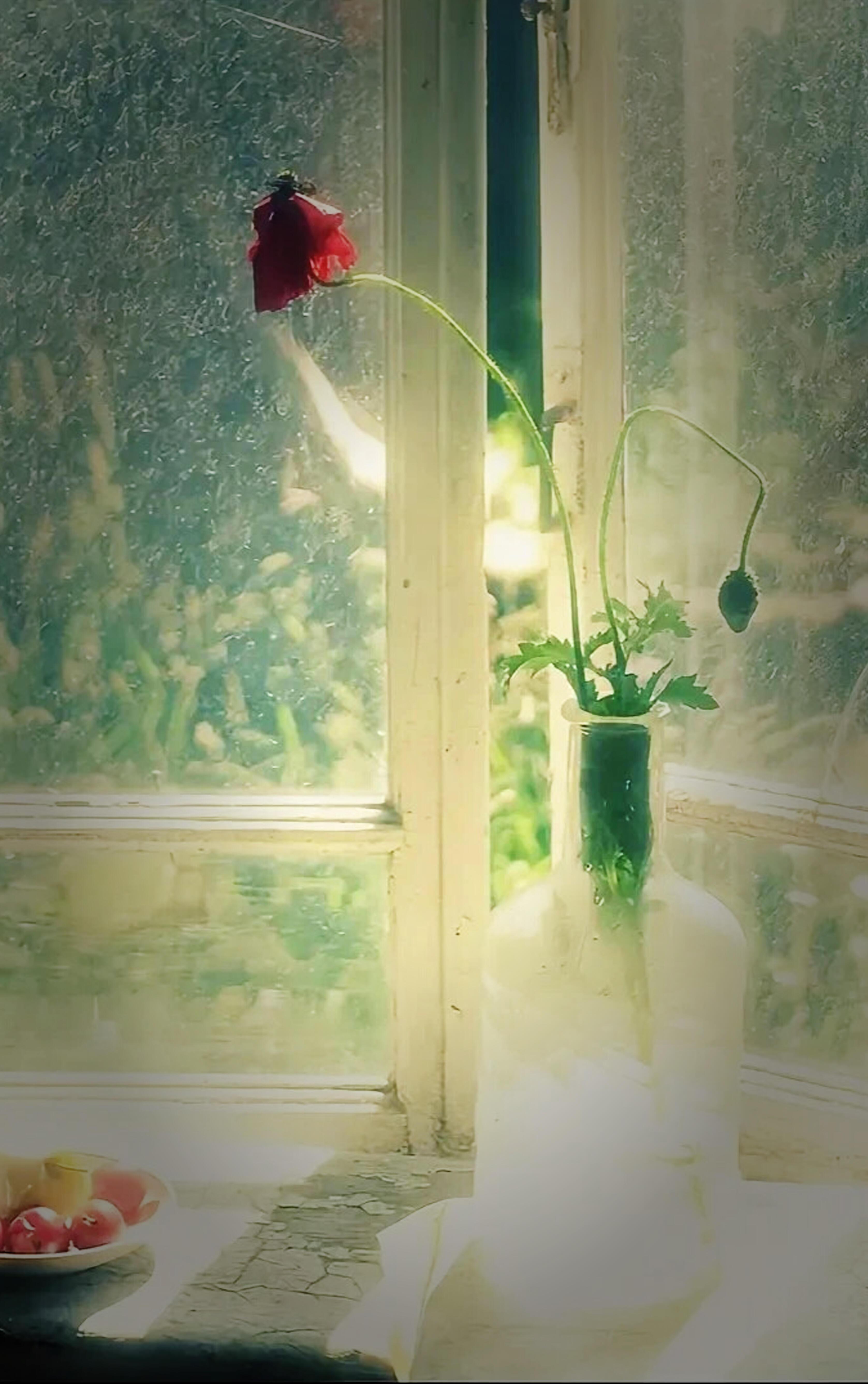 «Улыбается весна»