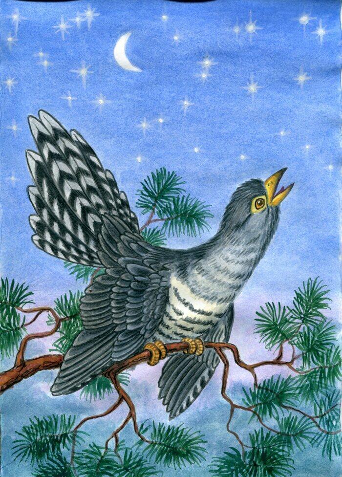 Вечный волонтёр