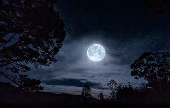 Ночной разговор