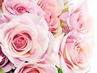 Ты песнь моя и вдохнавенье.