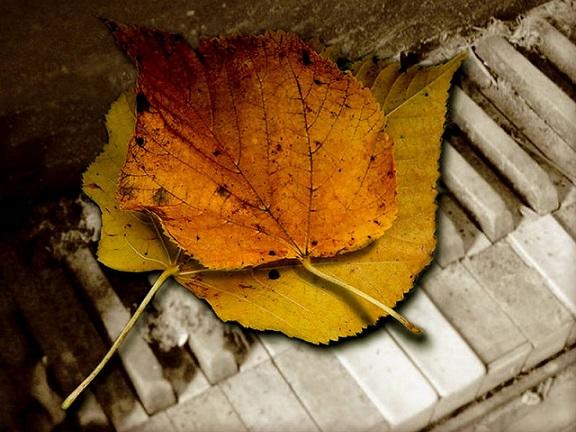 "Не сочинённая любовь" (06.09.2015)