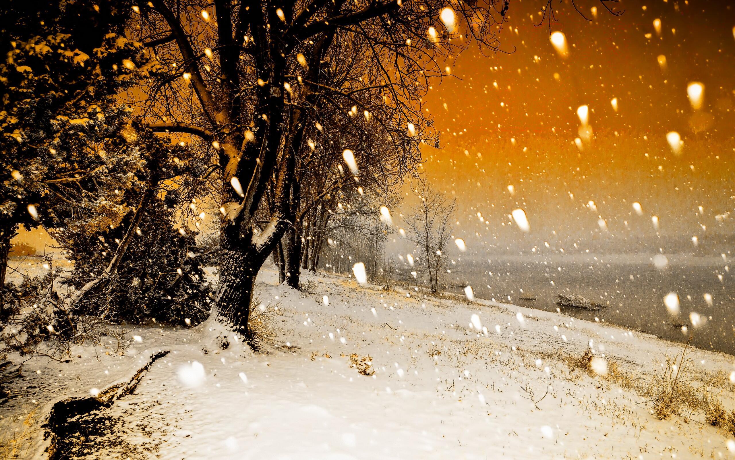 Из цикла "Тебе..."Плачь и смейся