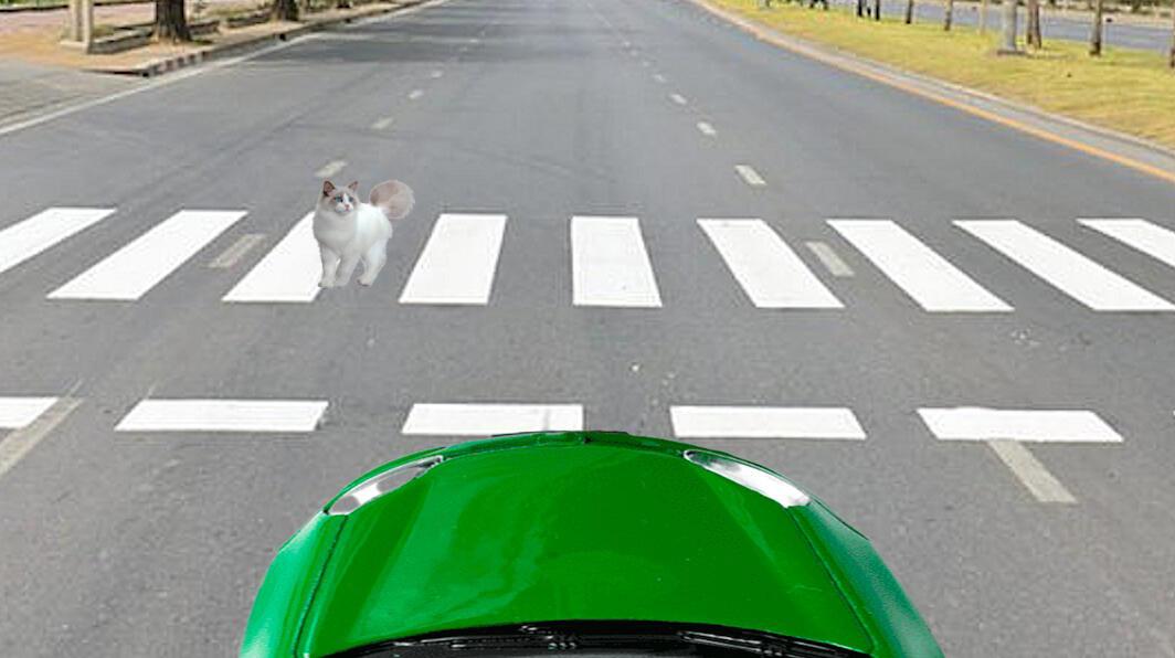 Понемножку о кошках. Рассказка №4. Пешеходный переход.