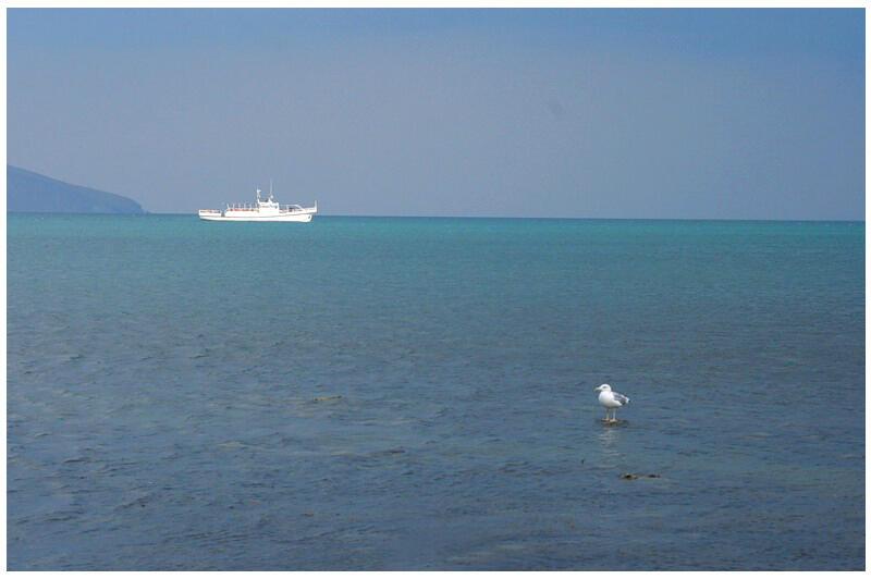 Пароходы черного моря. Черное море белый пароход. Чайка море пароход. Море причал Чайки. Белый пароход на море.