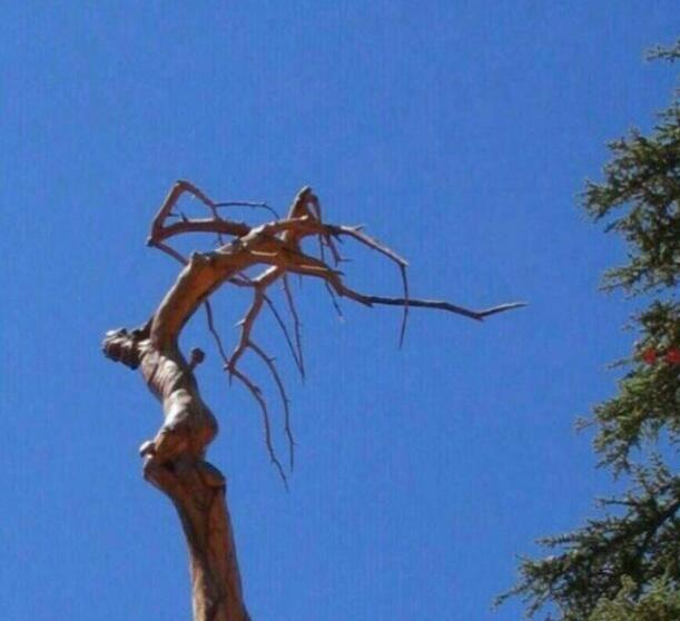 Антонов Геннадий. ...двупредложное...