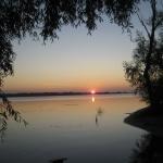 Квітує травень