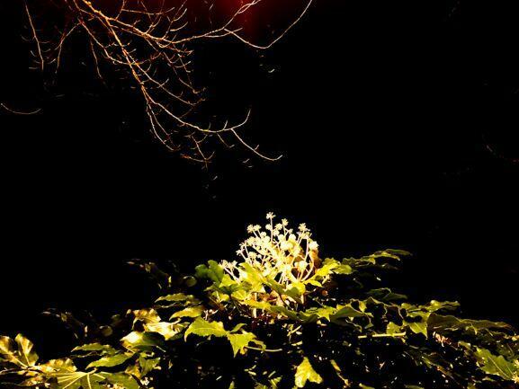 Остановись, замедлись,,,