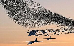 Весна, военная весна