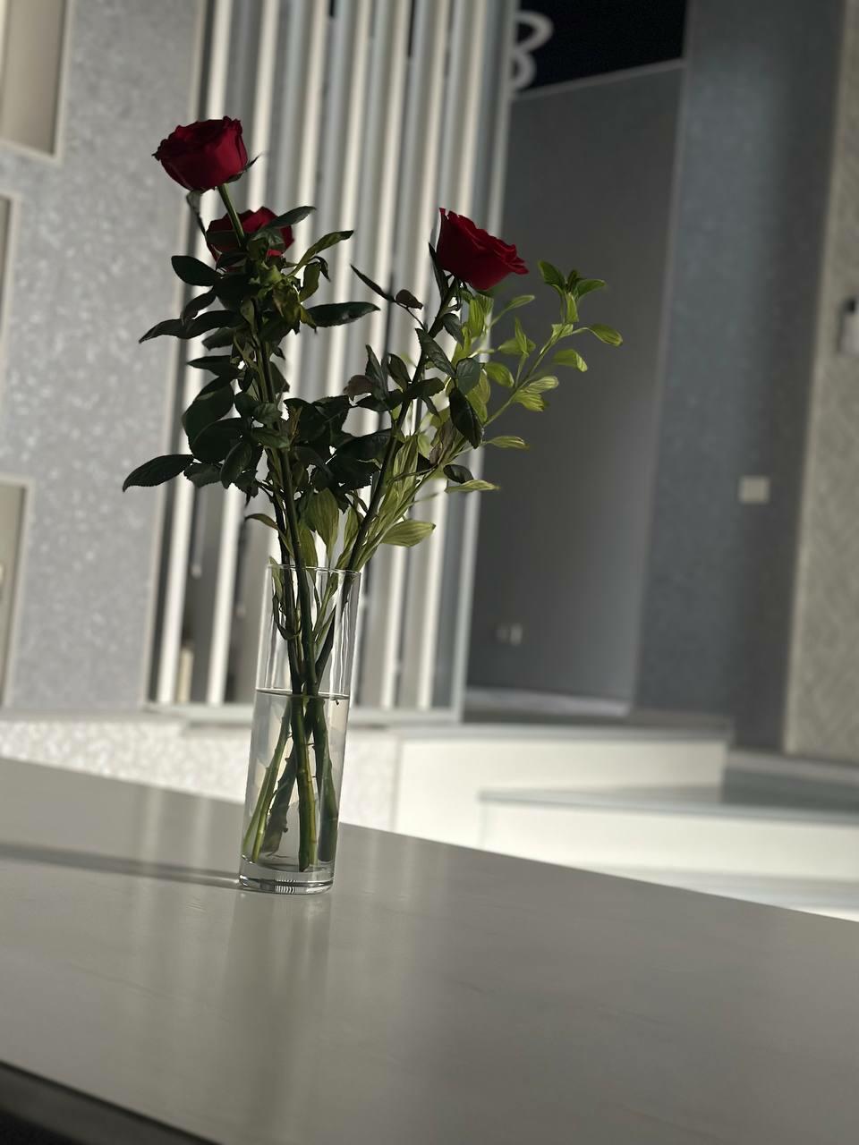 Храп (Маня 2)