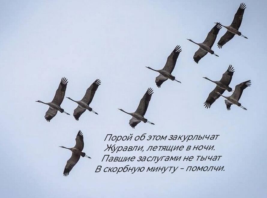 Никогда...