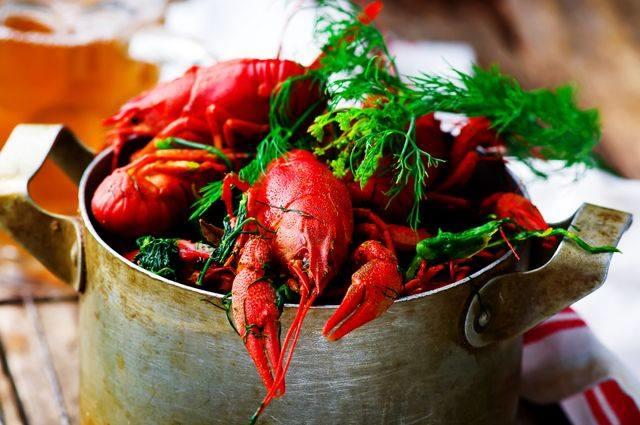 Гарька и его зловещие знакомства, или В ожидании справедливого возмездия