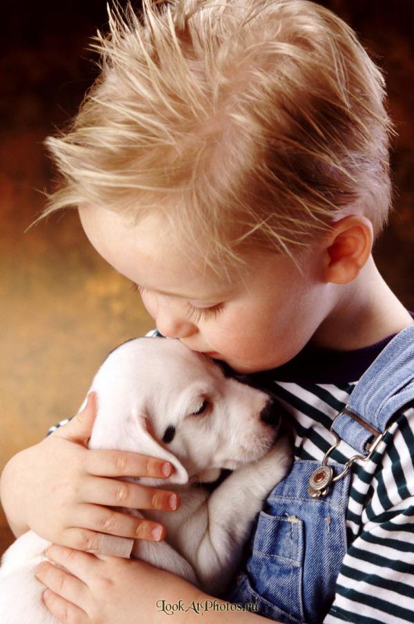 Если есть ножки...