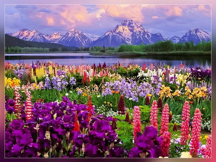 На 110 летие Церкви в Бишкеке