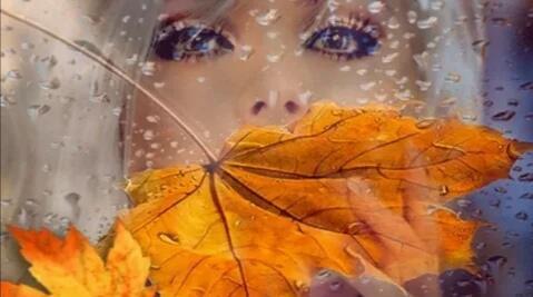 Осенний дождь