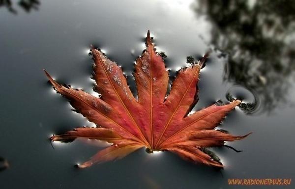 настроение осени