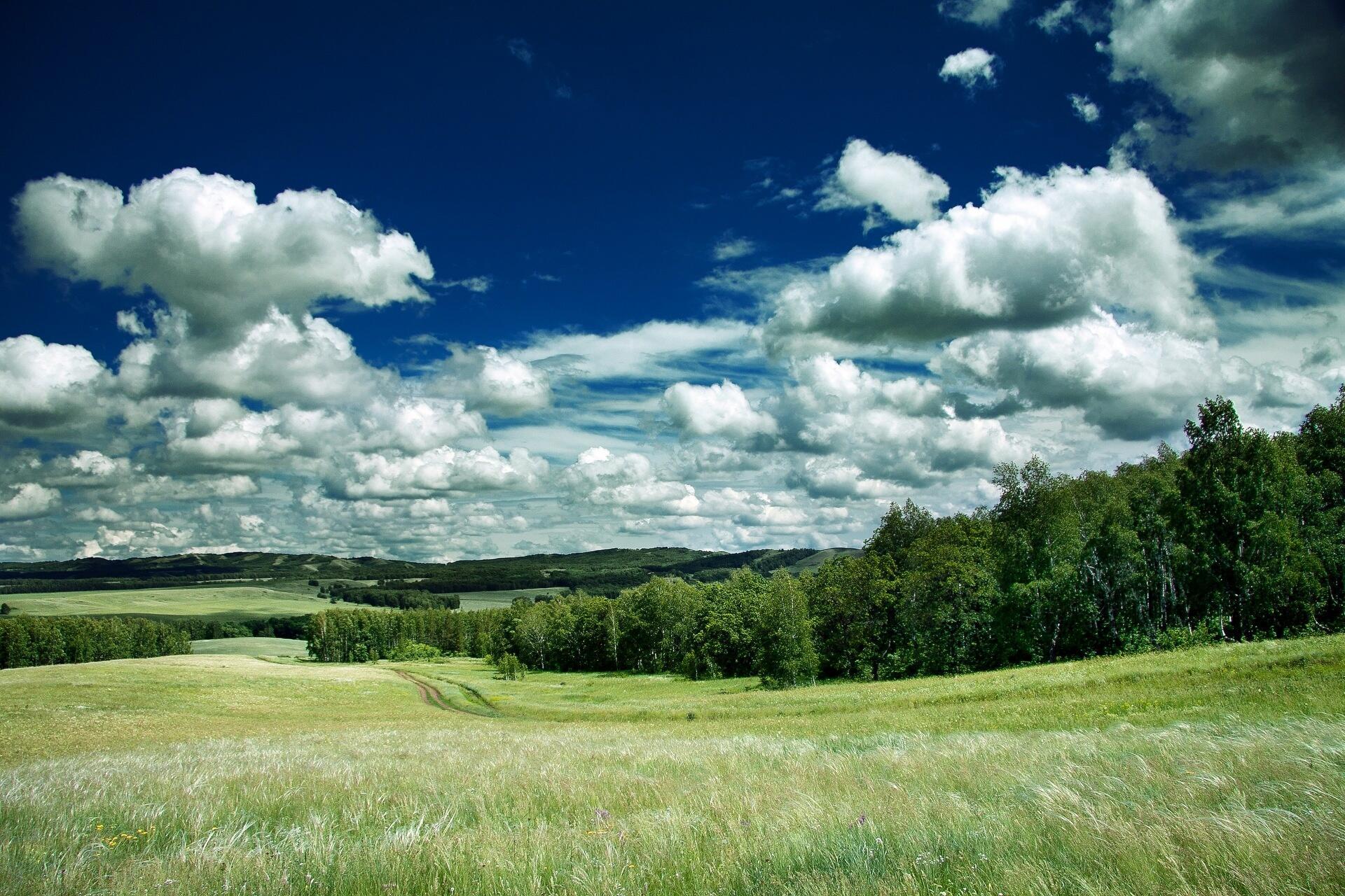 Есенин - Этой грусти теперь не рассыпать...