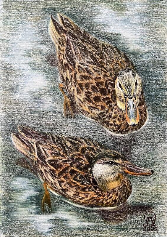 Мысли и домыслы... (690)