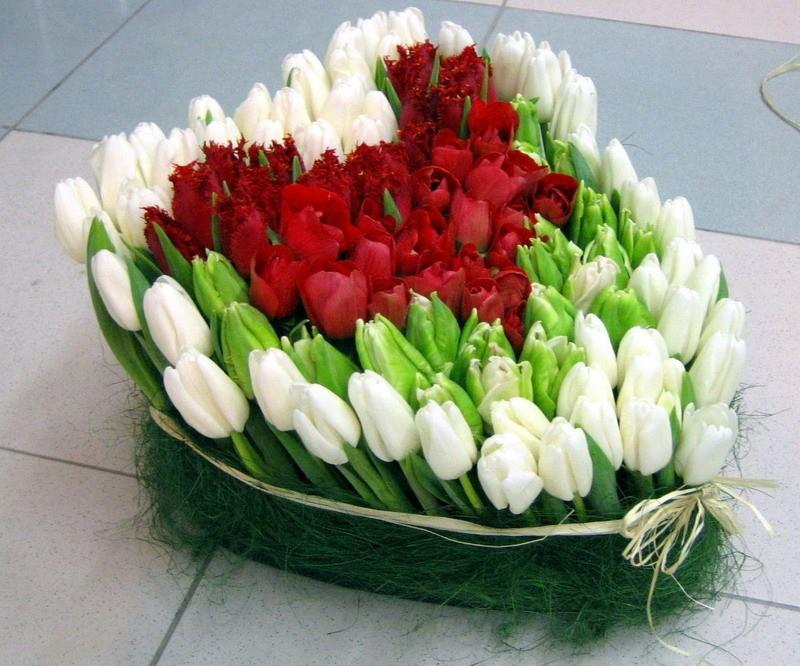 ЧУДНЫЕ СОЗДАНЬЯ