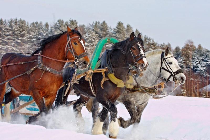 Русская Тройка.