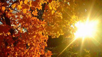 А за окном осенняя пора