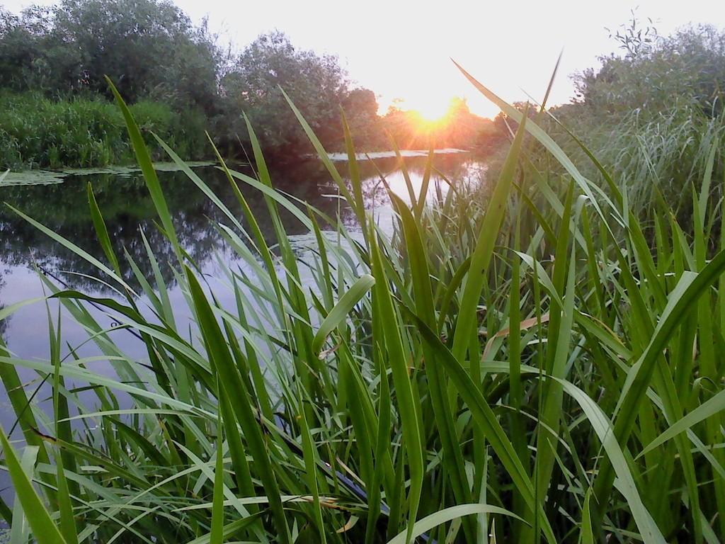 Вам, кукушка об этом не расскажет...