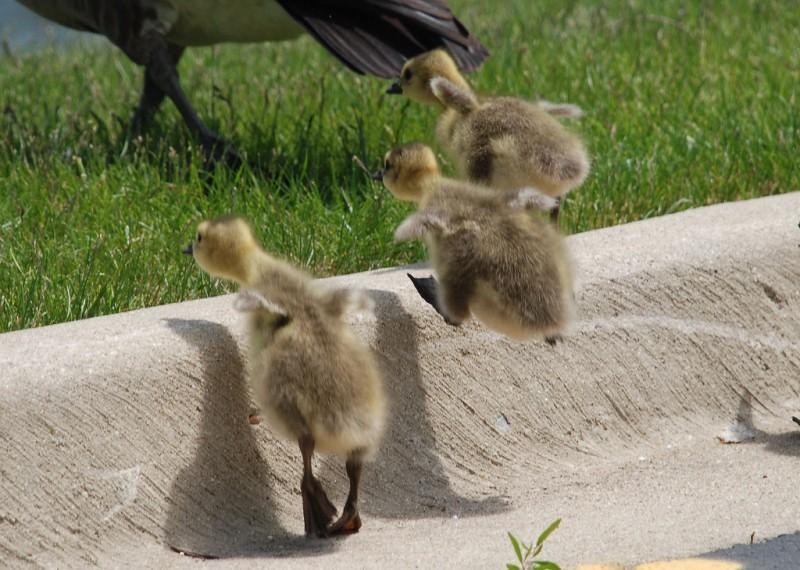 ТАКОЕ В ЖИЗНИ ПРАВИЛО