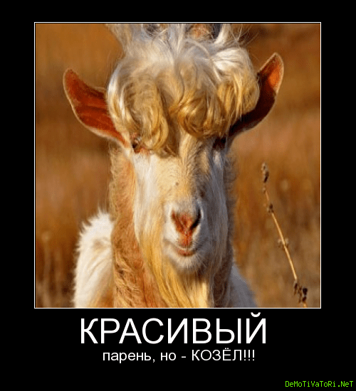 Не поддавайтесь смазливому лицу.