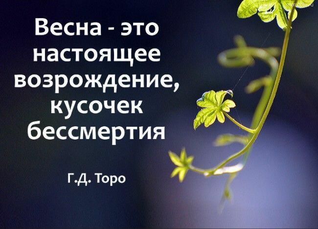 Греют лишь мысли о скорой весне...