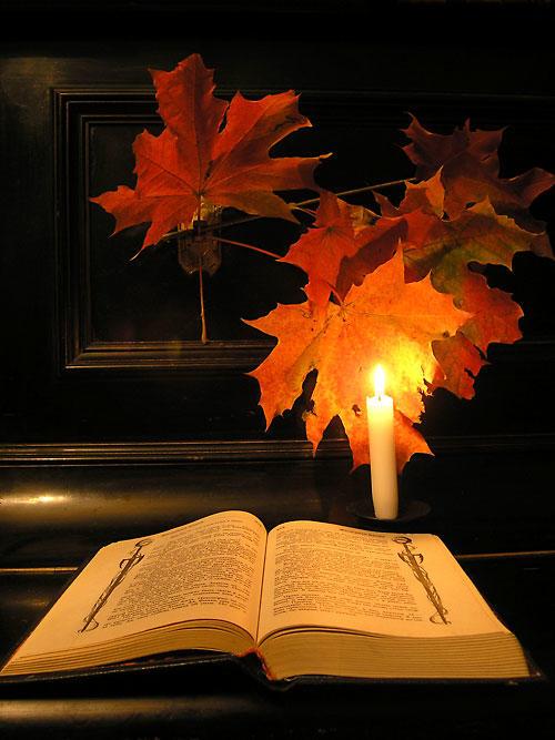 ВАШИ СТРОКИ ЗОЛОТЫЕ - (моим друзьям)