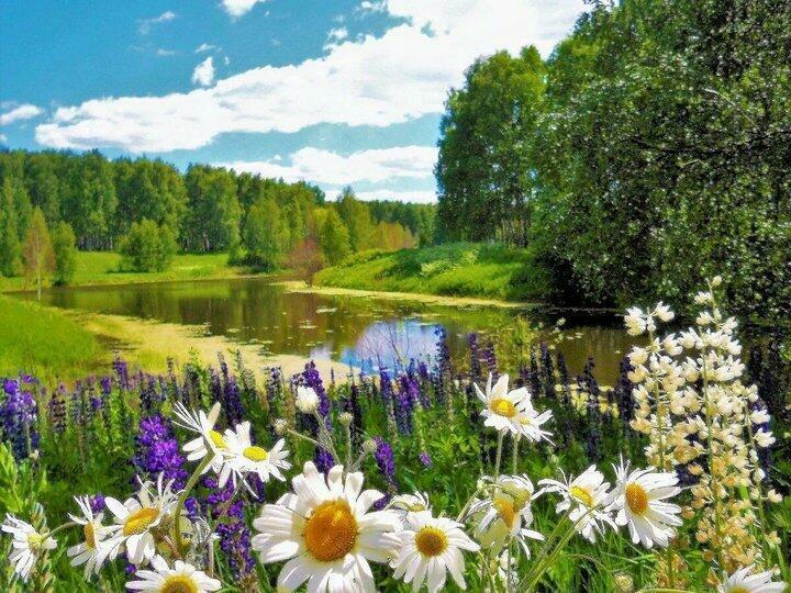 Мила мне даль дорожная…