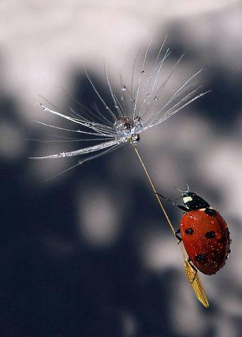 Я тебя никогда не любила...