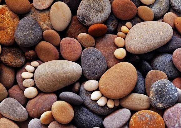 ВЕСТИ С ПОЛЕЙ № 52 (КАМЕШКИ)