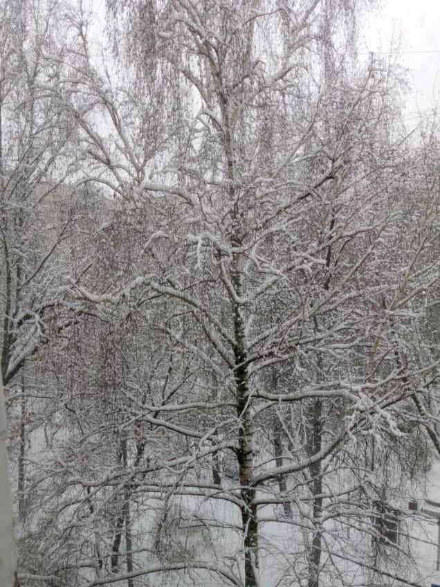 Первоапрельская шутка