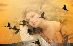 Стоят тёплые дни