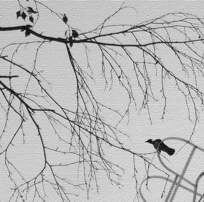 За день до солнца и весны!