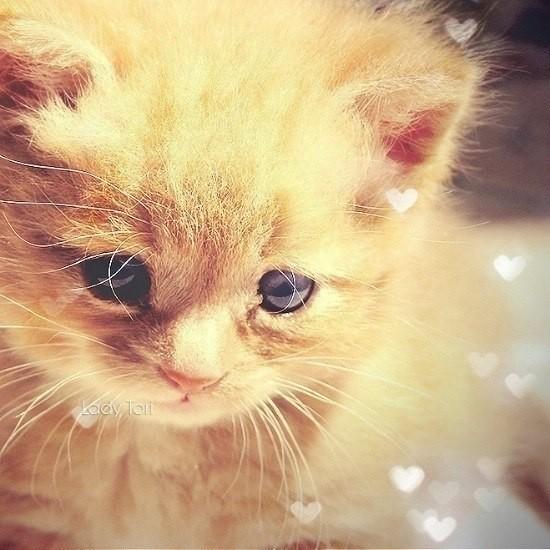 ***мне ХОЧЕТСЯ писать ДРУГОЕ***